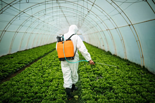 Best Ant Control Services  in Hyrum, UT