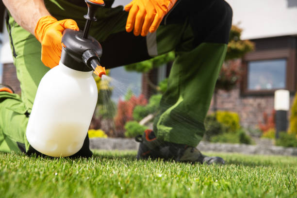 Trusted Hyrum, UT Pest Control Experts