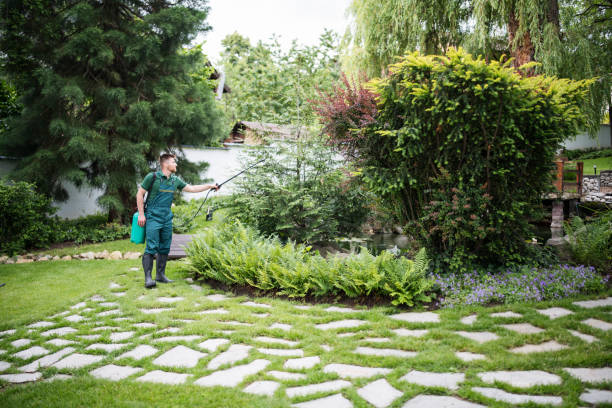 Flea Control Services in Hyrum, UT