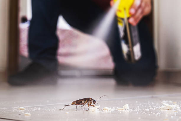 Best Exterminator Services  in Hyrum, UT