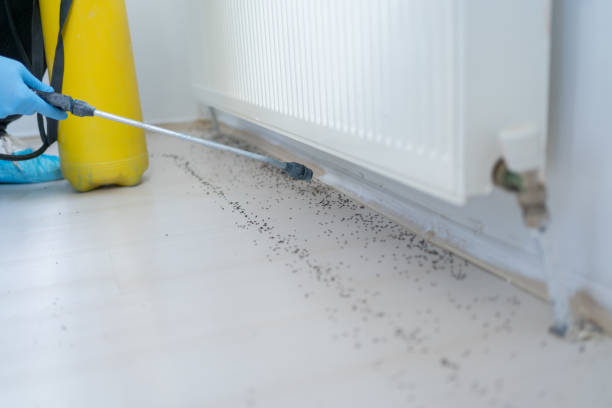 Pest Prevention Services in Hyrum, UT